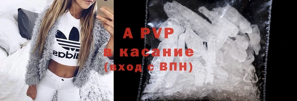 дживик Вяземский