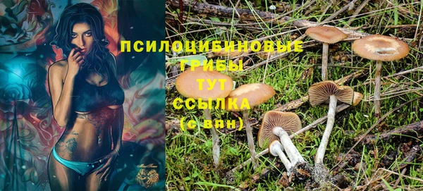 дживик Вяземский