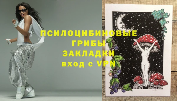 дживик Вяземский