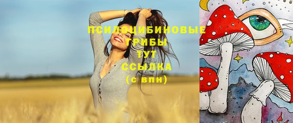 тгк Вязьма